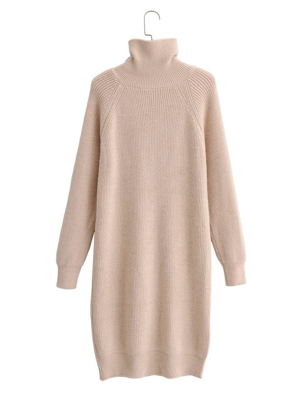 Button Turtleneck Sweater Dress